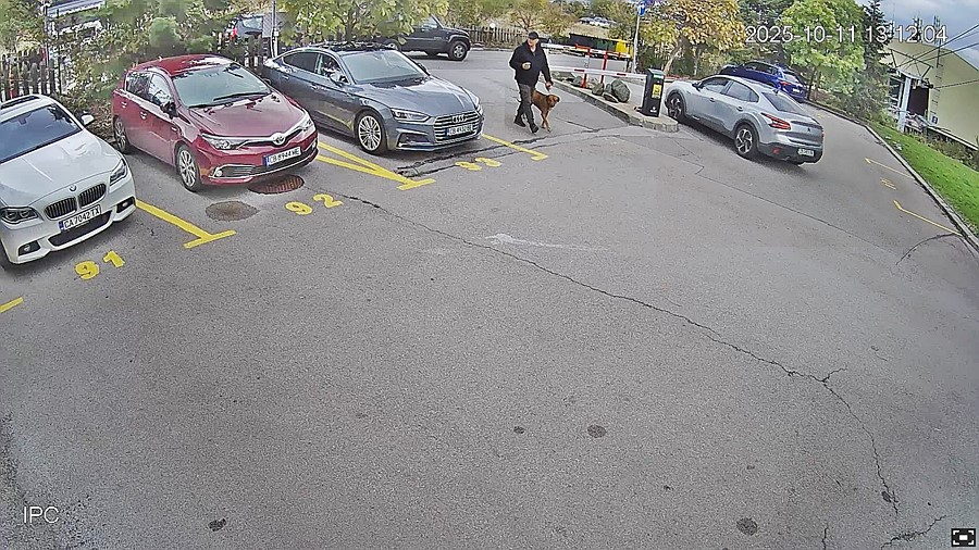 София времето уеб камера квартал кв. Симеоново/Света Магдалена, ул. Арх. Никола Лазаров, затворен и охраняем комплекс Витоша парк, kamerite