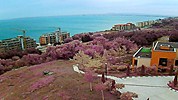 Комплекс 'Сий Форт' ('Sea Fort' Club), хотели, времето уеб камери между Свети Влас и 'Елените', над плаж и нос 'Робинзон', панорама залив, kamerite